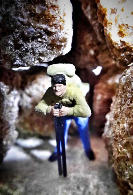 More amazing micro photographs